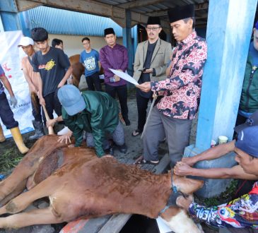 Unisba Tebar Semangat Berkurban: 14 Hewan Disembelih Sambut Idul Adha 1446 H