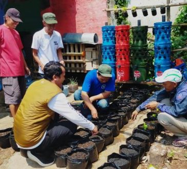 Lurah Pasteur, Aggung Aji Purnomo bersama Ketua RW 06, menyemai bibit pakcoy di lahan Buruan Sae RW06, Rabu (15/10/2025).