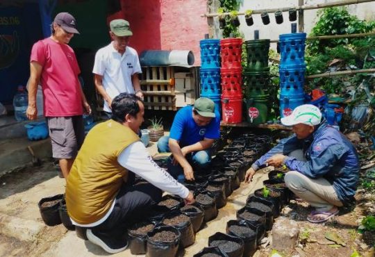 Lurah Pasteur, Aggung Aji Purnomo bersama Ketua RW 06, menyemai bibit pakcoy di lahan Buruan Sae RW06, Rabu (15/10/2025).